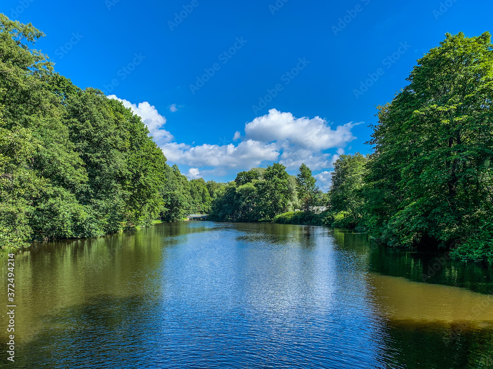 lake and forest