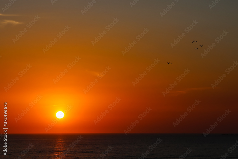 Sunset at La Barrosa beach in Sancti Petri, Cadiz, Spain Sunset at La Barrosa beach in Sancti Petri, Cadiz, Spain
