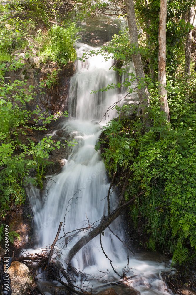 Fototapeta premium Cascades on a mountain river with a silky effect on the water that conveys a sense of relaxation.