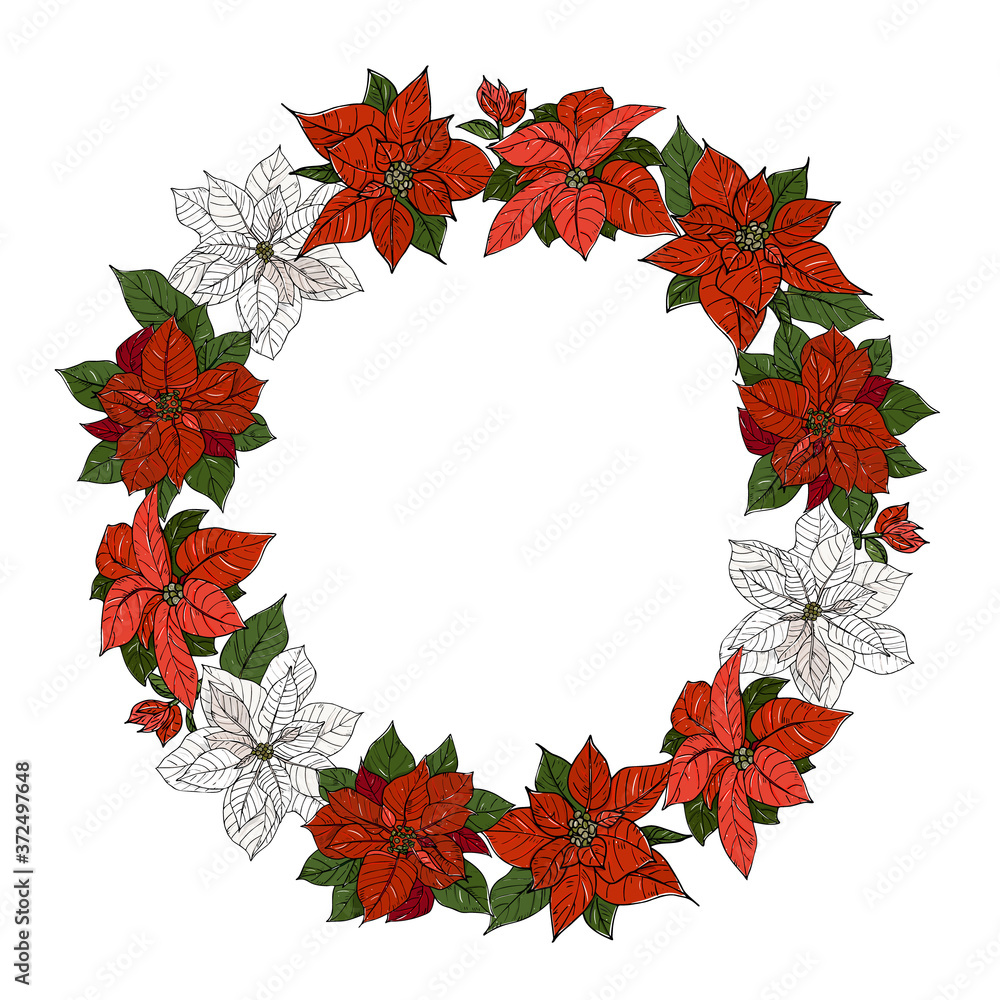 Christmas poinsettia hand drawing. Wreath, round frame with Christmas star flowers. New Year, Christmas symbol. For frame, postcard, invitation, packaging. Christmas poinsettia hand drawing. Wreath, round frame with Christmas star flowers. New Year, Christmas symbol. For frame, postcard, invitation, packaging.