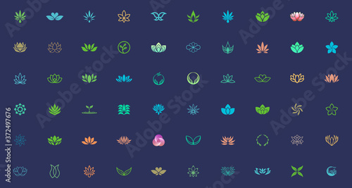 plant and flower logo design template bundle. suitable for beauty and health business brand