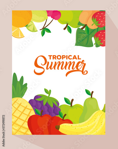 tropical summer banner, with fresh fruits vector illustration design