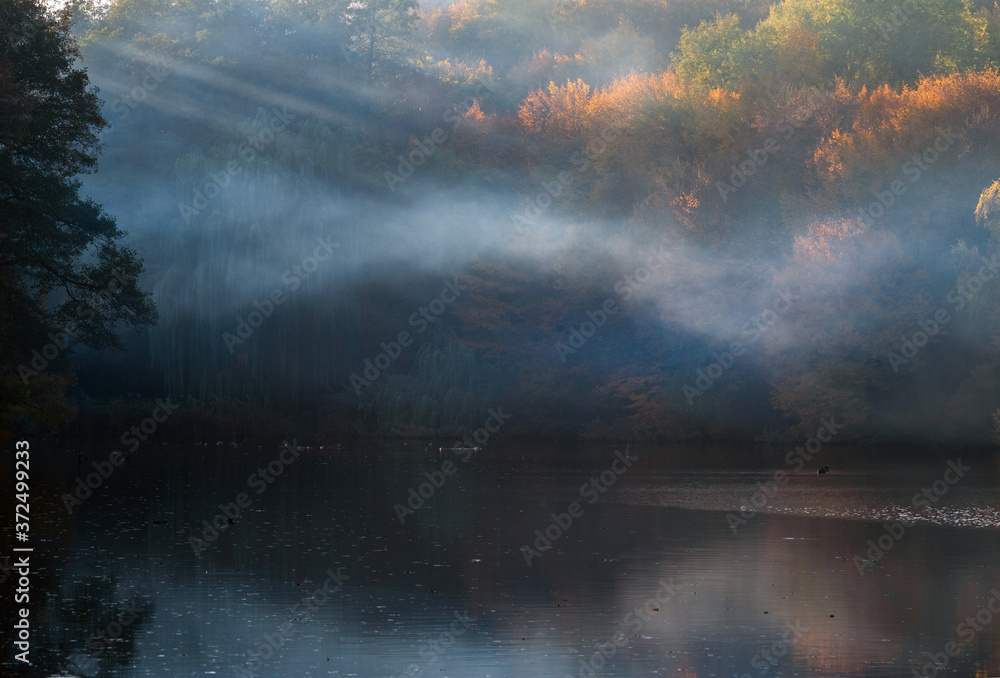 Autumn trees with red and yellow leaves on the background of the lake in the fog