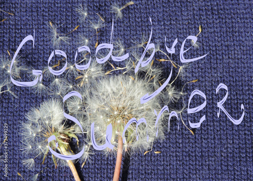 inscription goodbye summer on a background of white dandelions and blue knitted fabric photo