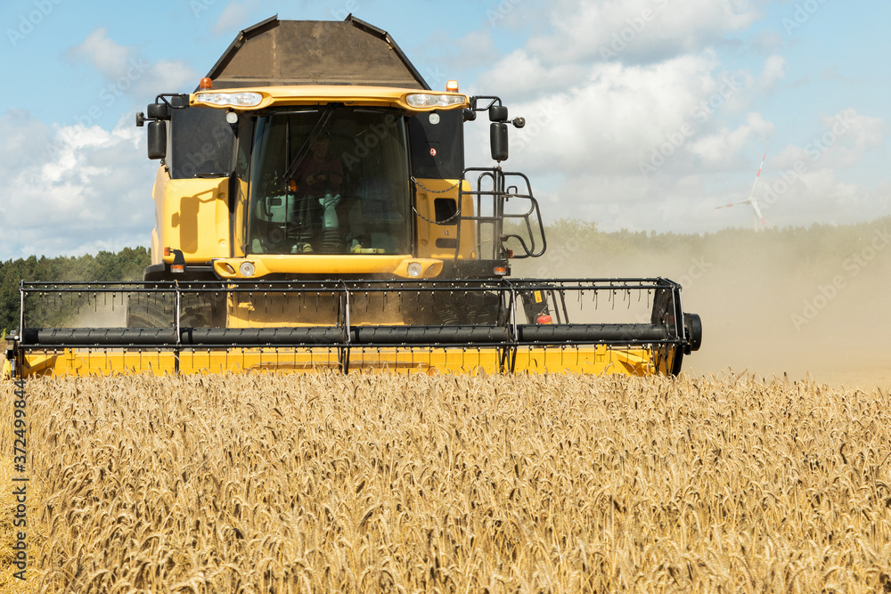 Obraz premium Grain harvesting equipment in the field. Harvest time.
