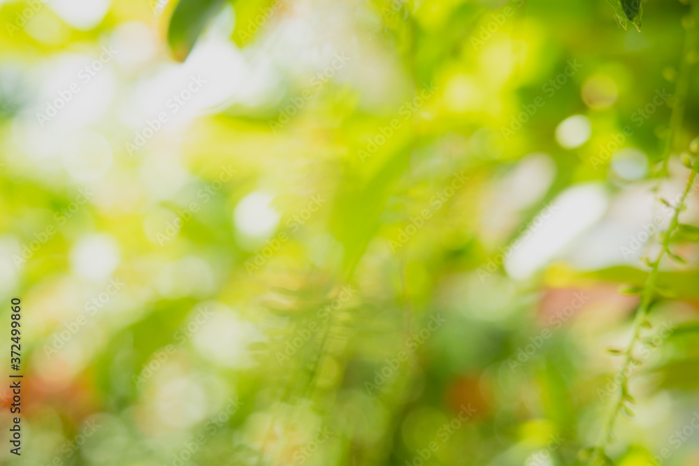 Natural view of green leaves on blurred green background in garden with copy space. Natural view of green leaves on blurred green background in garden with copy space.