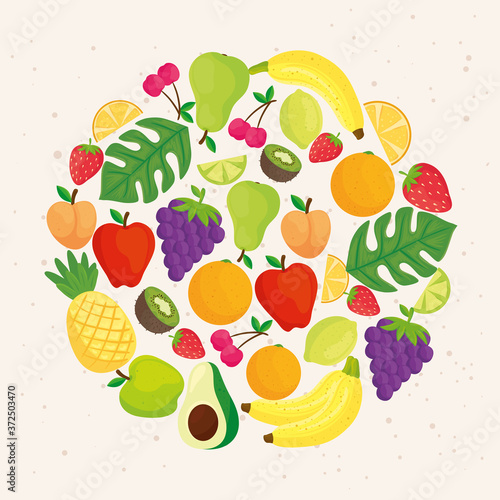 round frame with tropical fresh fruits vector illustration design