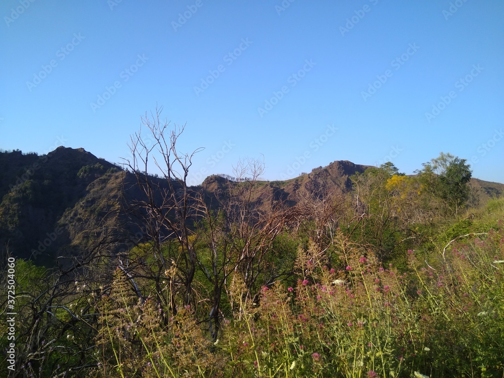 Beautiful landscape on the way to Mount Vesuvius in Italy. Beautiful landscape on the way to Mount Vesuvius in Italy.