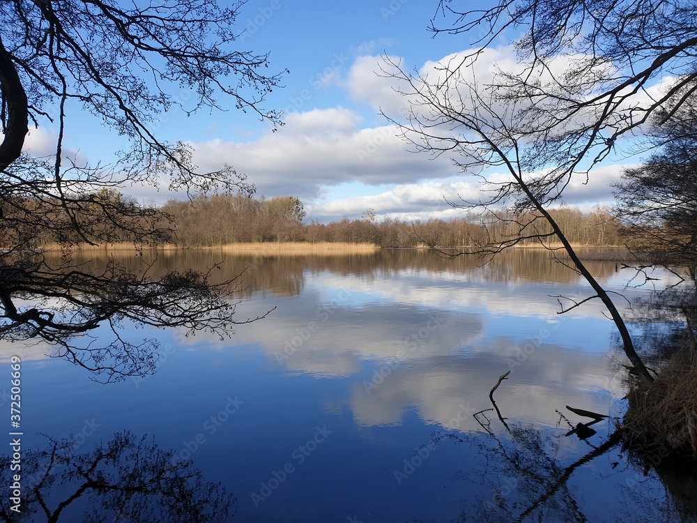 Obraz premium Winter afternoon at the lake