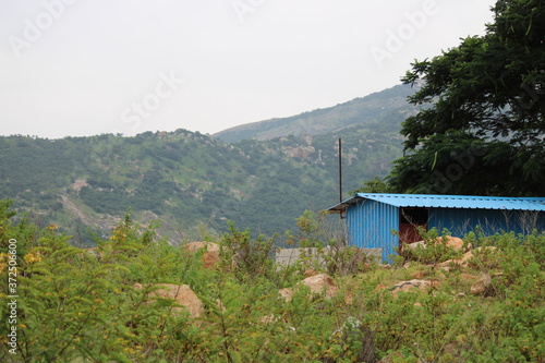 House in the forest