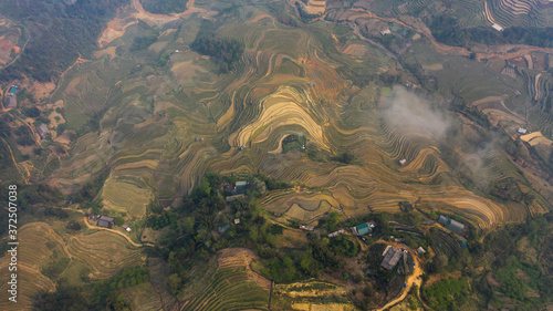 Aerial top view of paddy rice terraces, green agricultural fields in countryside or rice field terraces in Sapa, Lao Cai Province, North West Vietnam in Asia. Nature landscape background.