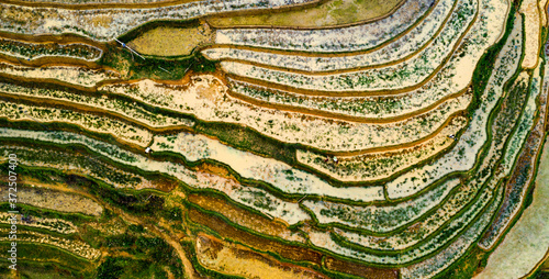 Aerial top view of paddy rice terraces, green agricultural fields in countryside or rice field terraces in Sapa, Lao Cai Province, North West Vietnam in Asia. Nature landscape background.