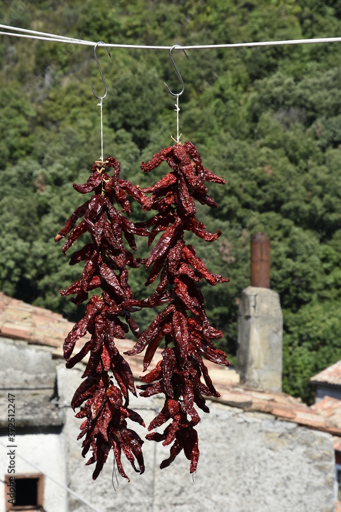 Red chillies hanging out to dry in the sun in Orsomarso, a rural village in the Calabria region, Italy.