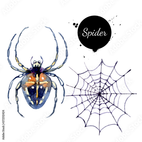 Watercolor spider and spiderweb illustration. Vector painted isolated Halloween elements on white background