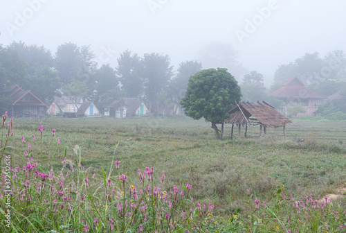 The countryside village is covered by the fog.