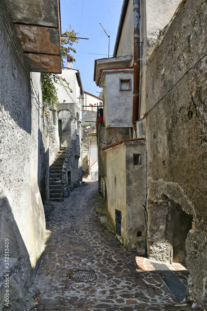 A narrow street among the old houses of Orsomarso, a rural village in the Calabria region.