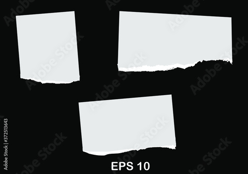 Paper different scraps set ripped page piece. Torn note paper page. Ripped note notebook grainy paper strips stuck. EPS 10