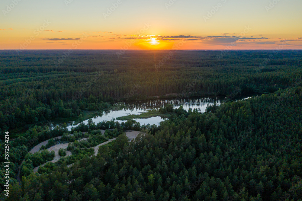 Obraz premium colorful sunset over over the trees, evening landscape