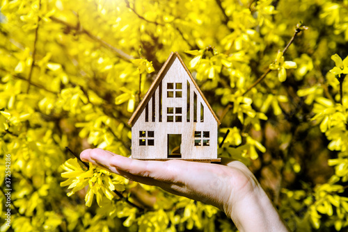 The girl holds the house symbol against the background of blossoming forsythia
