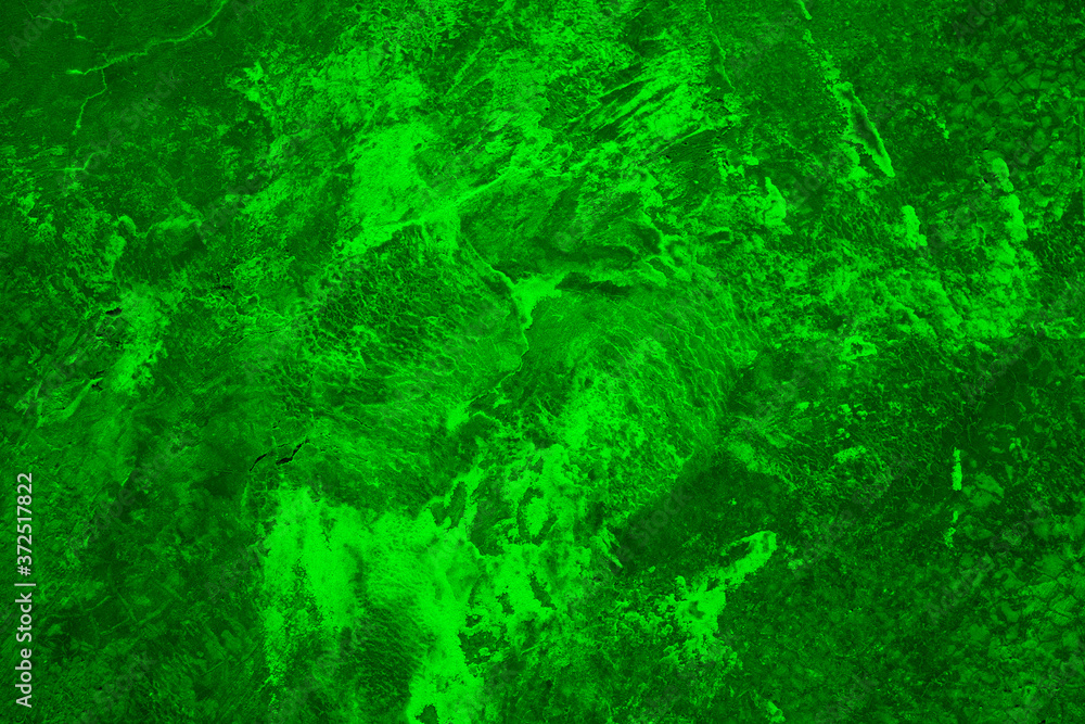 Fototapeta premium abstract green background