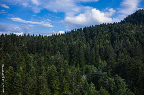 Skole Beskids National Nature Park. View from drone on forest  mountain