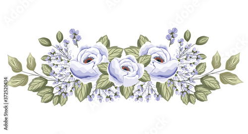 white roses flowers with buds and leaves painting design, natural floral nature plant ornament garden decoration and botany theme Vector illustration