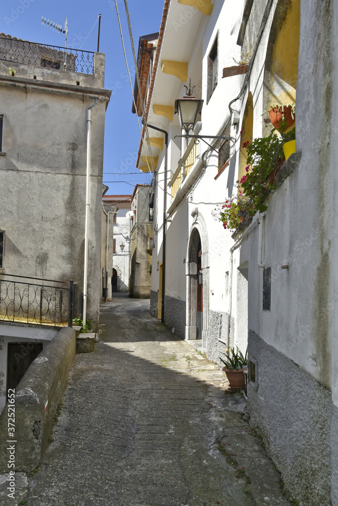 Fototapeta premium A narrow street among the old houses of Aieta, a rural village in the Calabria region.