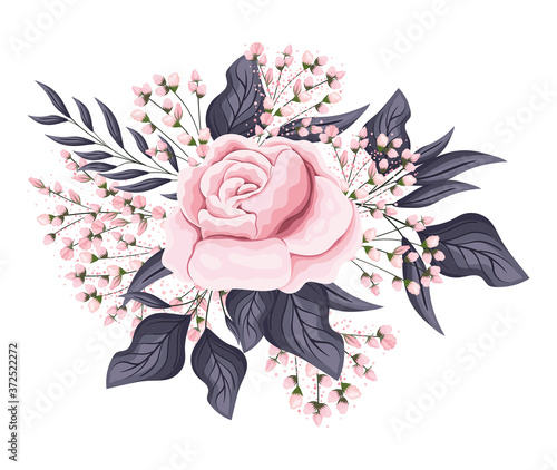 pink rose flower with buds and leaves painting design, natural floral nature plant ornament garden decoration and botany theme Vector illustration