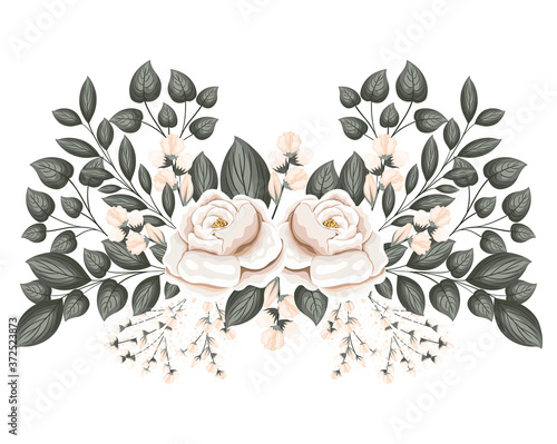 white roses flowers with buds and leaves painting design, natural floral nature plant ornament garden decoration and botany theme Vector illustration