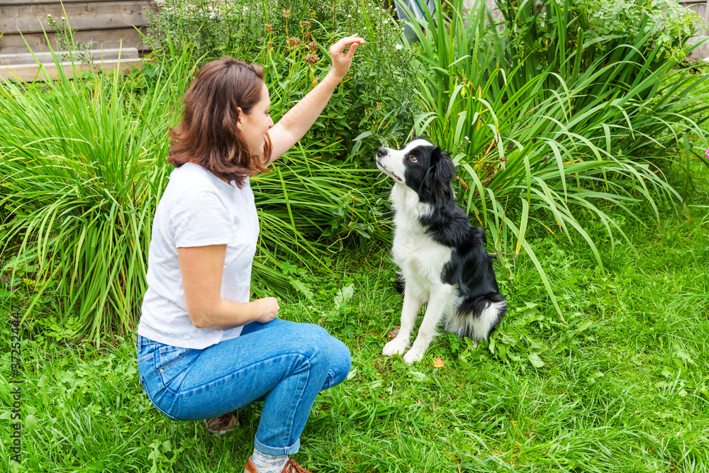 Smiling young attractive woman playing with cute puppy dog border collie in summer garden or city park outdoor background. Girl training trick with dog friend. Pet care and animals concept. Smiling young attractive woman playing with cute puppy dog border collie in summer garden or city park outdoor background. Girl training trick with dog friend. Pet care and animals concept.