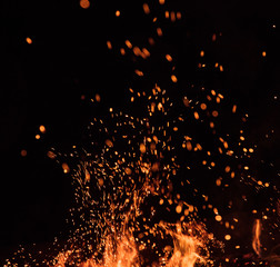 fire flames with sparks on a black background, close-up