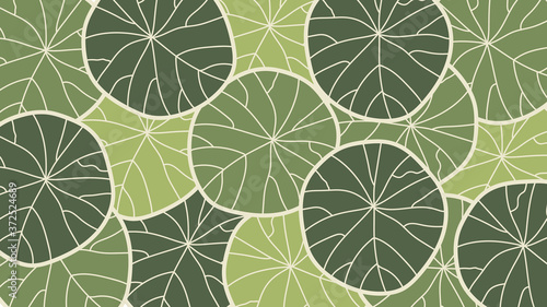 Leaf line art background vector, wallpaper and print, house plant, Vector illustration.