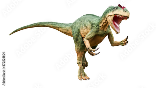Allosaurus fragilis with attack or aggressive pose isolated on white background. Dinosaur realistic and scientific reconstitution. 3D rendering illustration.
