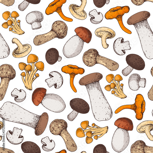 Mushrooms seamless pattern. Various mushrooms hand drawn vector illustration. Food background. Forest mushrooms.