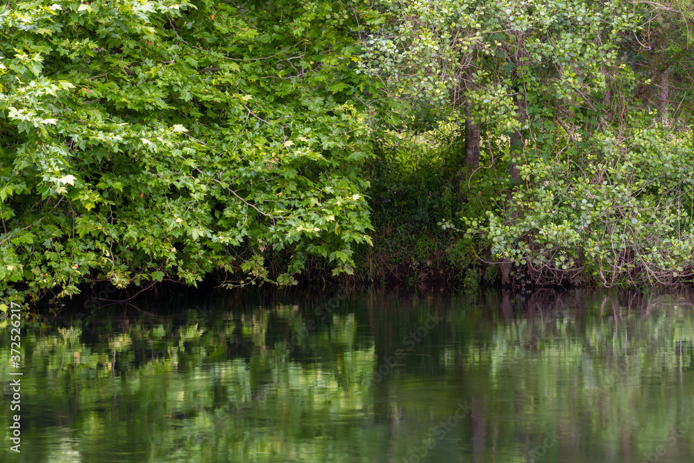 green river bank, beautiful calm natural landscape green river bank, beautiful calm natural landscape