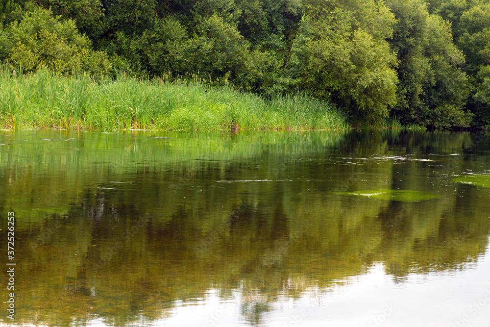 green river bank, beautiful calm natural landscape