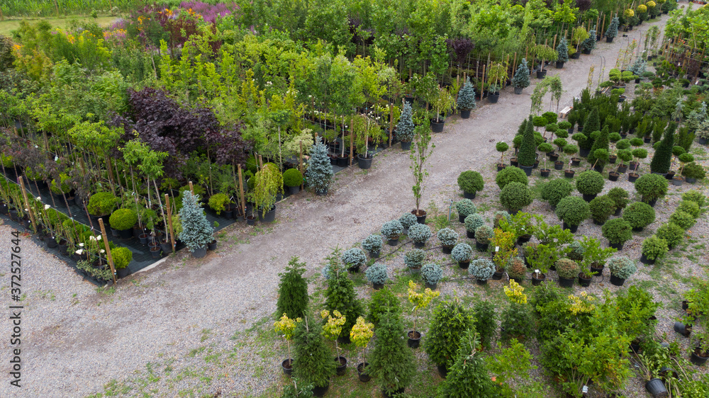Obraz premium Different ornamental plants on the local farm to grow seedlings of trees and shrubs. A set of beautiful plants, a view from above. Plants from Ukraine