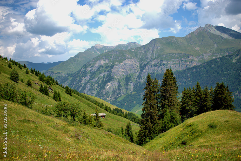 Berglandschaft in Vals in der Schweiz 31.7.2020 Berglandschaft in Vals in der Schweiz 31.7.2020