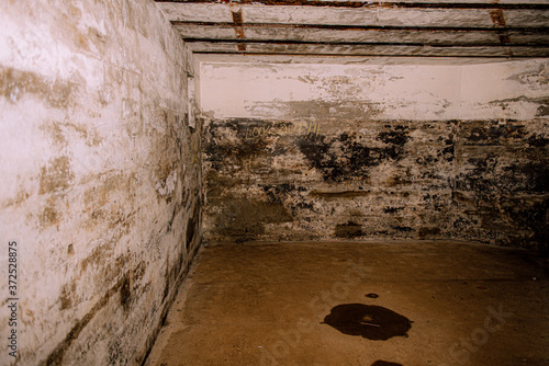 fort casy Washington 