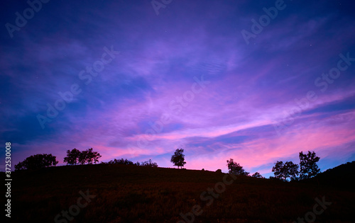 Silhouette of trees in horizontal line at sunset. Blue  purple  pink  mauve color. Concept tranquility  loneliness  relaxation