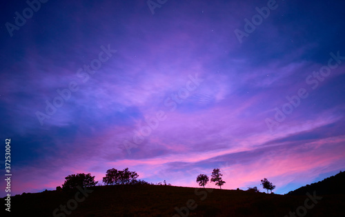 Silhouette of trees in horizontal line at sunset. Blue, purple, pink, mauve color. Concept tranquility, loneliness, relaxation