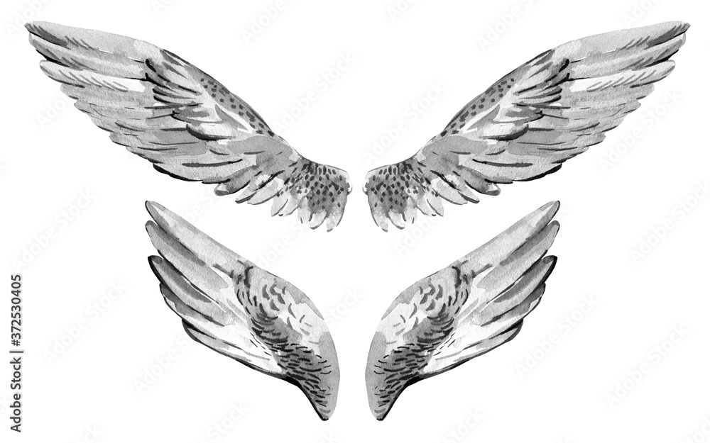 Fototapeta premium Watercolor vintage set angel wings