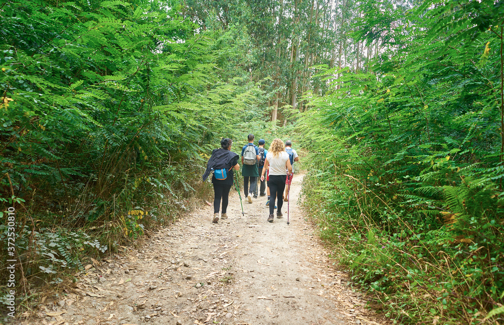 Obraz premium Family walking with backpacks and walking sticks along a path in the field full of trees