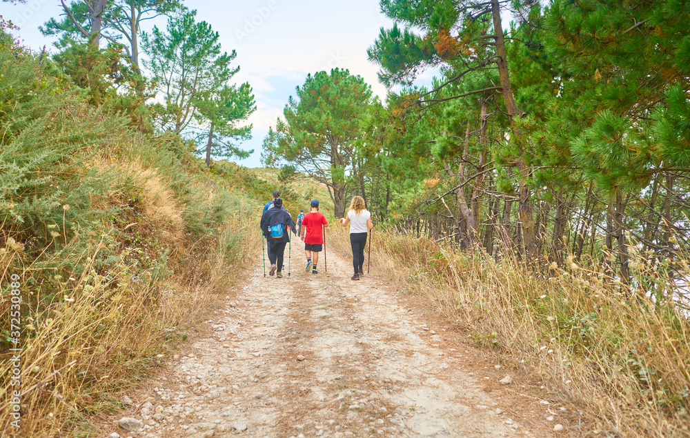 Family walking with backpacks and walking sticks along a path in the field full of trees Family walking with backpacks and walking sticks along a path in the field full of trees