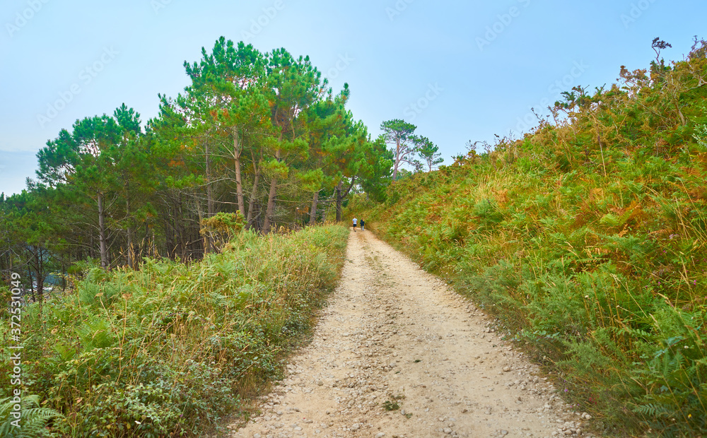 Family walking with backpacks and walking sticks along a path in the field full of trees