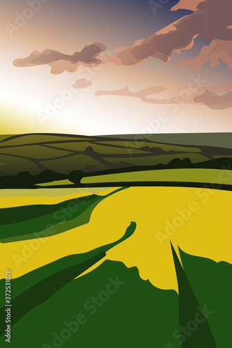Fields with yellow flowers and trees on the background of sunset