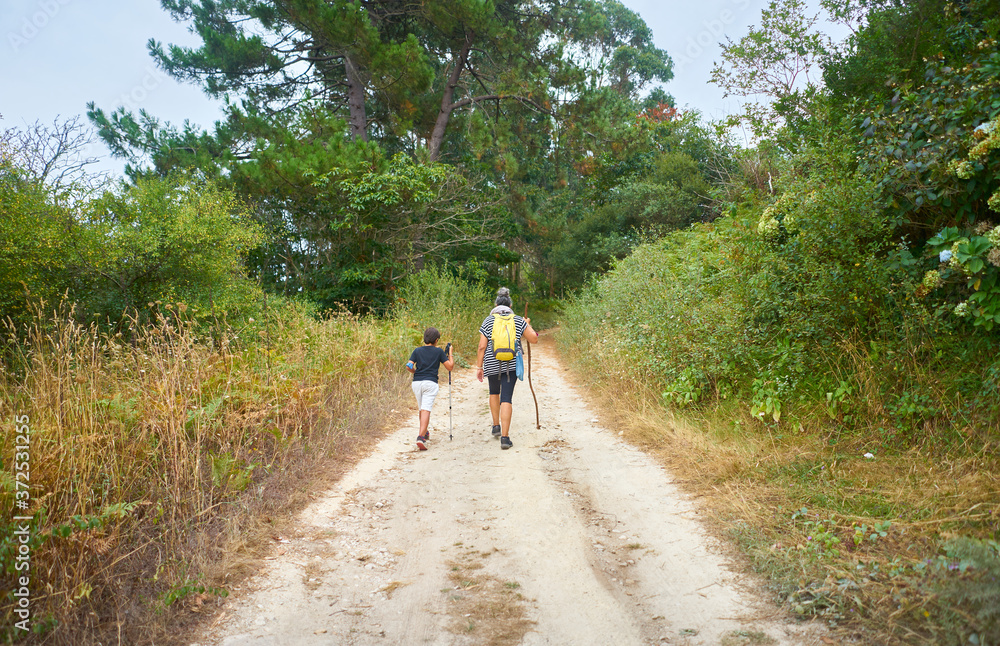 Mother with her son walking with backpacks and walking sticks along a path in the field full of trees Mother with her son walking with backpacks and walking sticks along a path in the field full of trees