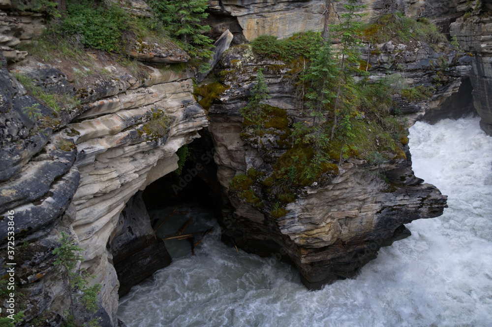 A Canyon Carved out by Athabasca Falls