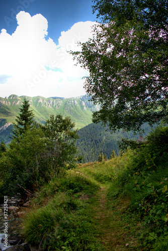Fototapeta Naklejka Na Ścianę i Meble -  Berglandschaft in Vals in der Schweiz 31.7.2020