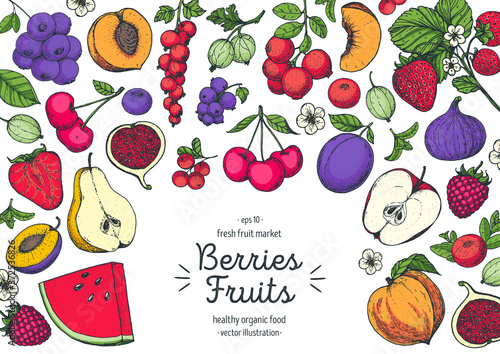 Berries and fruits colorful collection. Hand drawn vector illustration. Hand drawn berry and fruit. Blueberry, pear, peach, cherry, fig, plum, watermelon, currant, cranberry, apricot, raspberry.